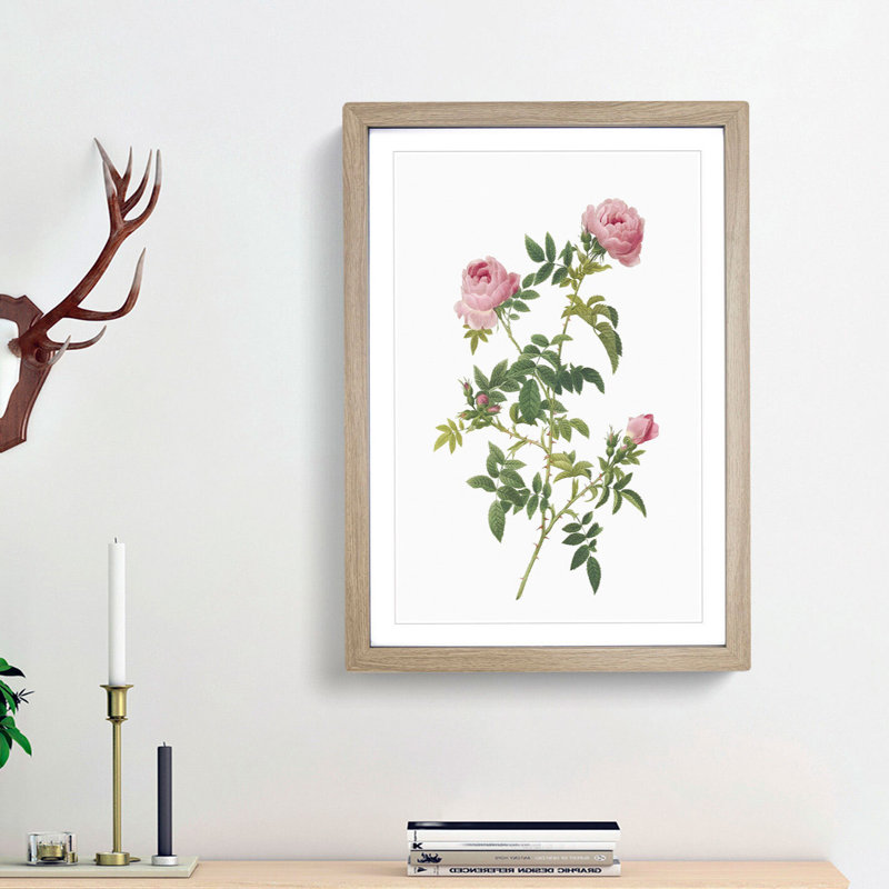 English Roses in Pink by Pierre-Joseph Redoute - Picture Frame Painting Print, 36cm H x 27cm W x 2cm D, Oak Framed