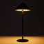Iron USB Desk Lamp