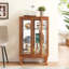 Élégante armoire vitrée à 2 portes avec portes en verre trempé, panneau arrière en miroir et tablettes réglables - vitrine lumineuse pour la maison et le bureau (ampoule incluse)-1433344203