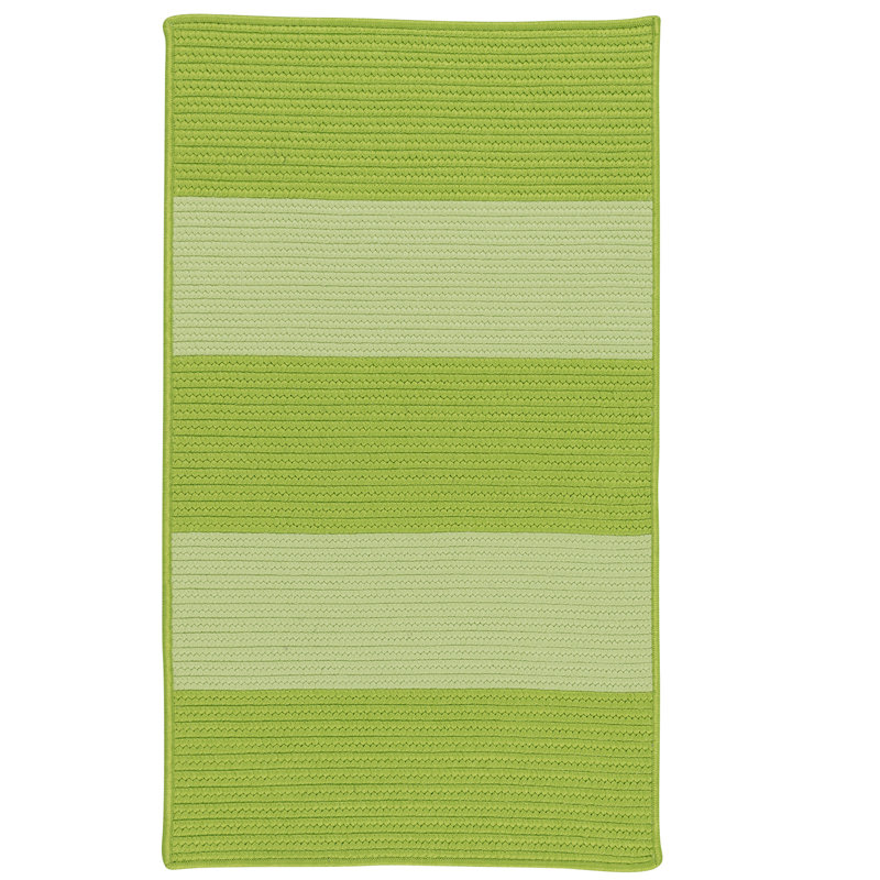 Tapis vert tressé à la main Javen, Rectangle 7 pi x 9 pi