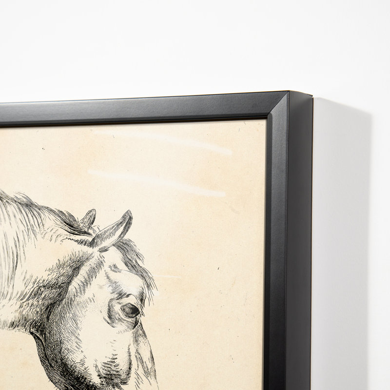 Head Of A Horse Print by Reinierus Albertus Ludovicus