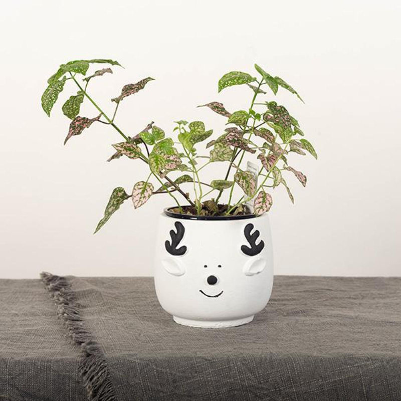 Pot à fleurs Happy Reindeer Face, H 4,25 po x l 5 po x P 5 po