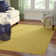Aiden-Lee Indoor Rug