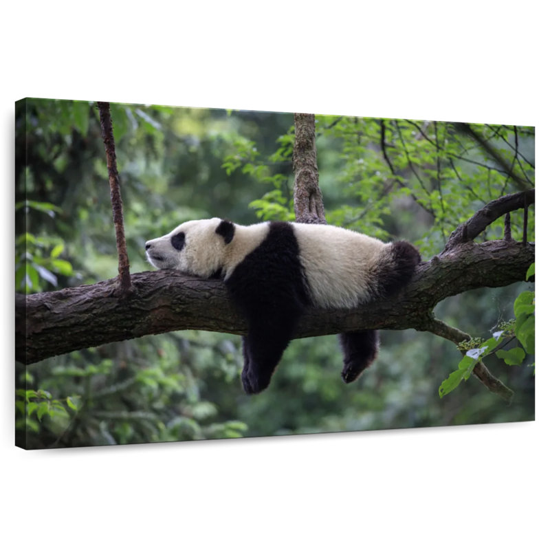 Brampt Lazy Panda, 32" H x 48" W