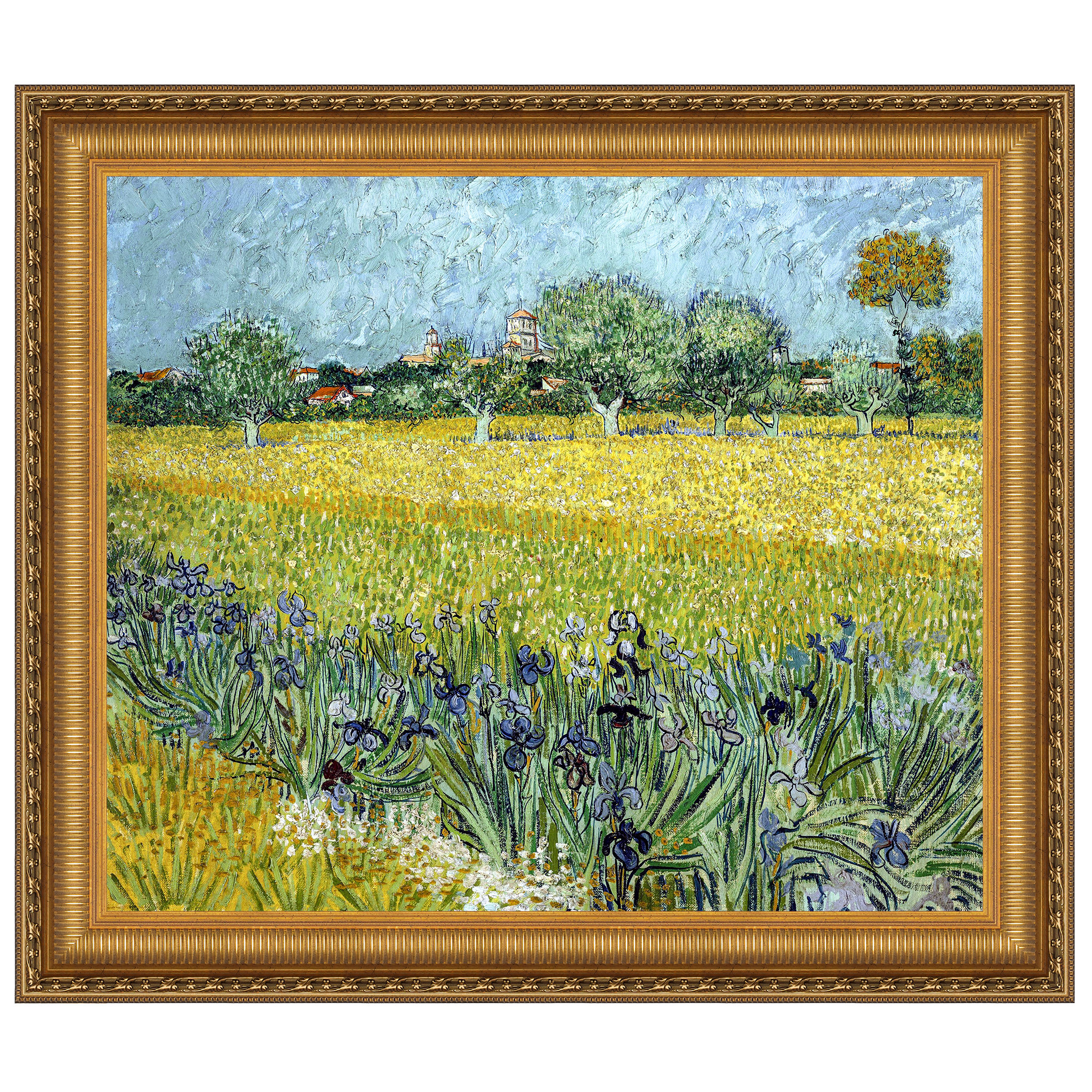 Design Toscano Field with Flowers near Arles, 1888 Framed Print on ...