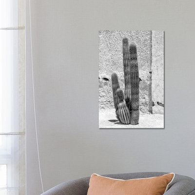 Arizona Series - Cactus 1 Piece Wrapped Canvas Wall Art