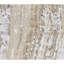 Hand Knotted Area Rug in Beige/Gold-213508685