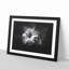 Geranium Flower - Picture Frame Graphic Art Print-56863166-56863167