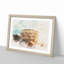 The Colisium in Rome Italy - Picture Frame Painting Print-56854612-56854610