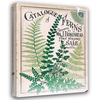 Winston Porter Vintage Apple Collection Gallery Wrapped Canvas Art Titled: Ferns 2