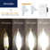 B11E26 60 Watt Equivalent B11 E26/Medium (Standard) Dimmable 5000K LED Bulb
