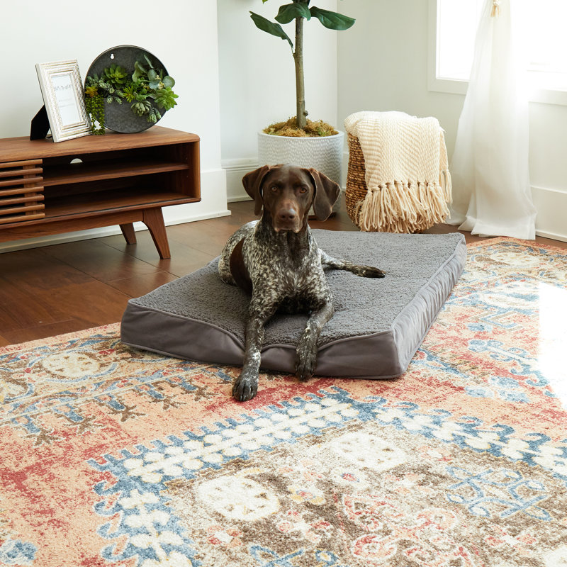 Lindholm Orthopedic Pillow Dog Bed, Medium (42" W x 30" D x 4" H), Grey