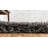 Indoor Rug-24844887