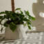 Feather Tall Centerpiece