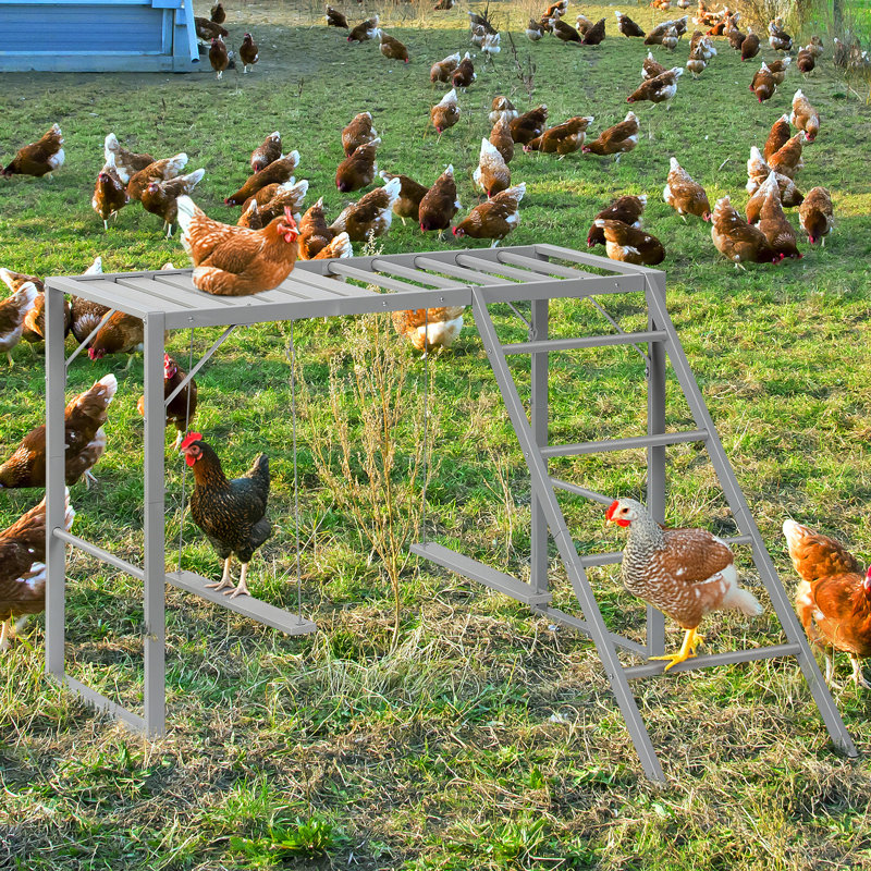Poulet perché