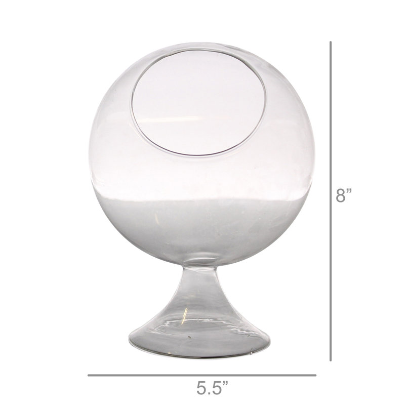 Terrarium en verre Jussuf, H 8 po x l 5,5 po x P 5,5 po