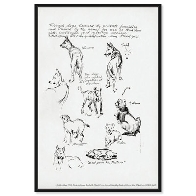 Croquis de chien, 1917, dessin au trait par Art Remedy