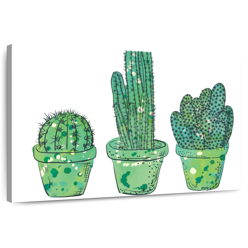 Cactus en pots, H 24 po x l 36 po