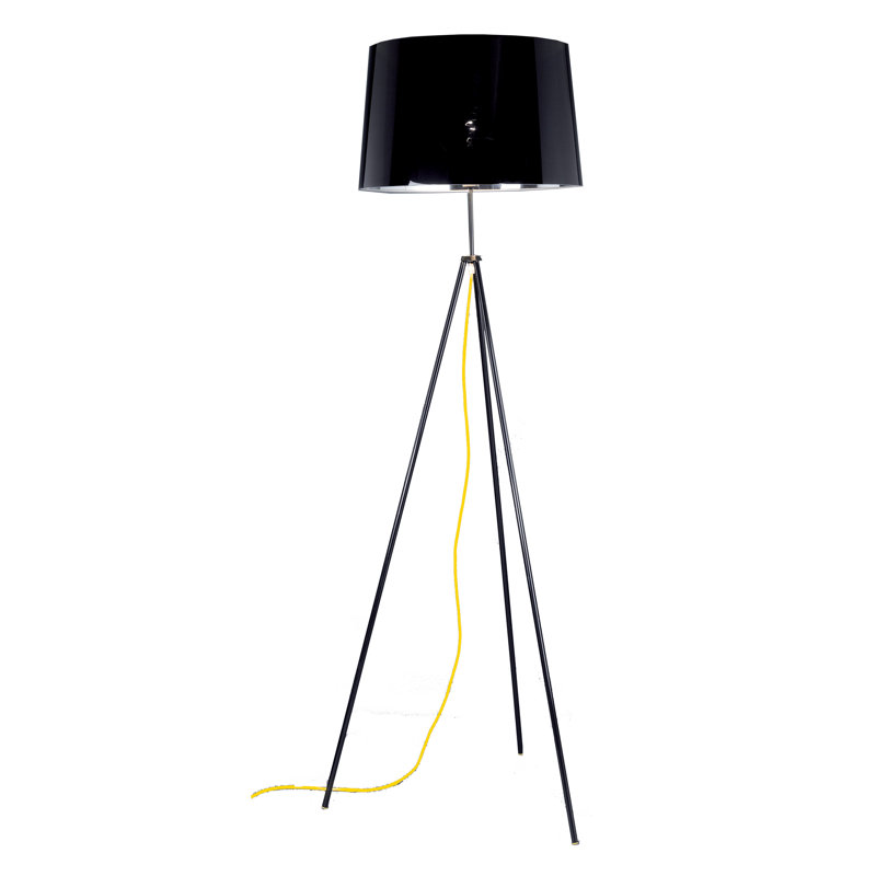 Schuller 156.5cm Tripod Floor Lamp, Black
