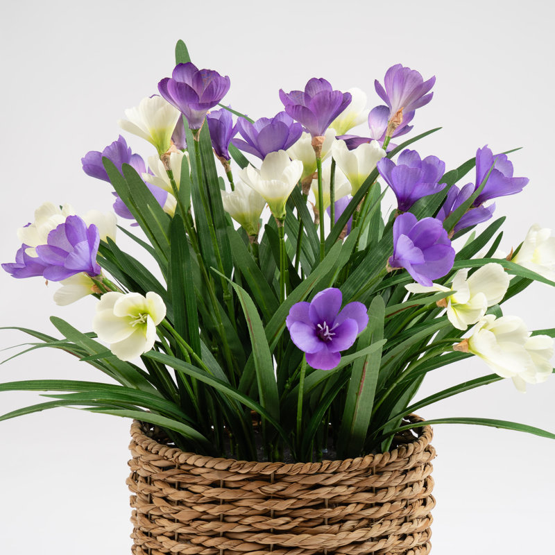 58cm Faux Crocus in Seagrass Basket