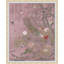 Avian Soiree 1 Print by Studio L57 Nouvelle-2085270202