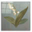 Art mural en verre acrylique 36 po x 36 po «Cottage Lily Of The Valley» par Danhui Nai