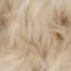 Solid Colour Standard Area Rug-509379264