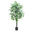 Ficus artificiel en pot-573331798-573331819