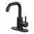 Oil Rubbed Bronze
