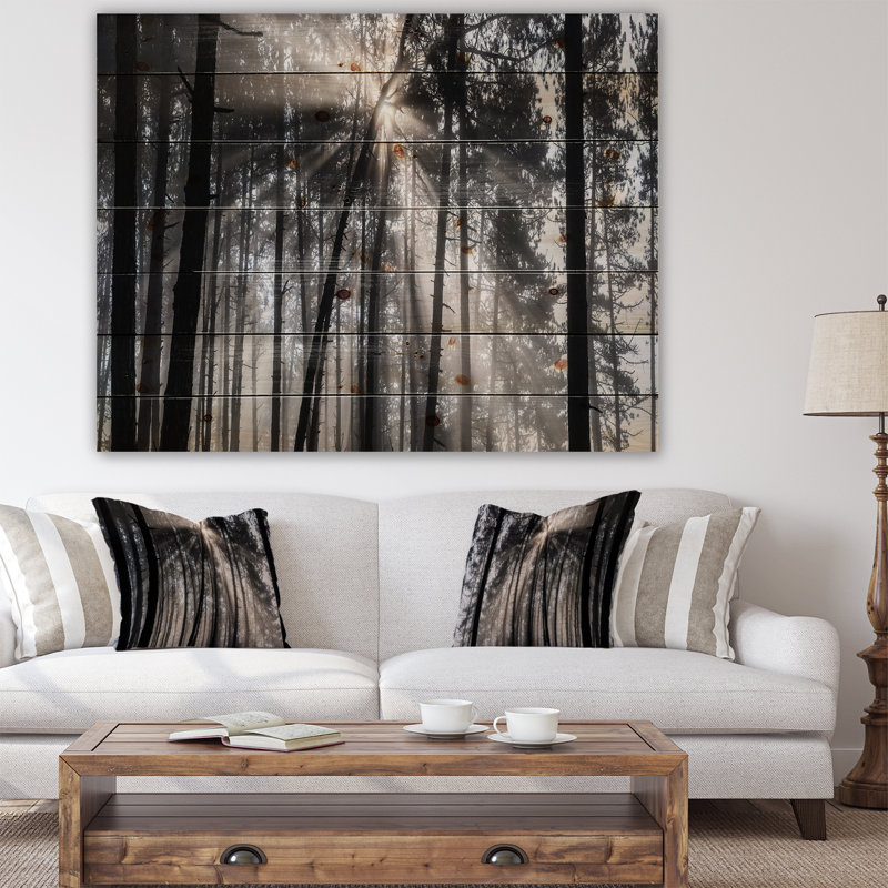 «Sunbeam Through Black White Forest», photographie, H 36 po x l 46 po x P 1,5 po, Bois