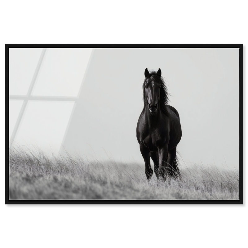 Lone Stallion I Print, 21" H x 31" W, Black Floater Frame