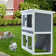 Dieguez Weather Resistant Small Animal Hutch