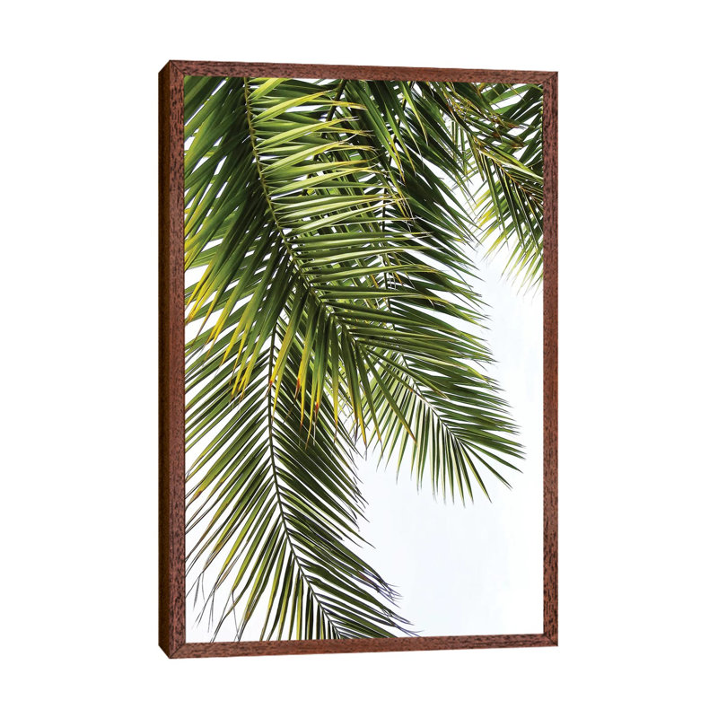 Palm Leaves 1 Piece Wall Art on Canvas, 66.04 cm H x 45.72 cm W, Brown Floater Framed