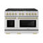 ZLINE 48 in. 8 Burner Double Oven Gas Range in Stainless Steel and Champagne Bronze Accents