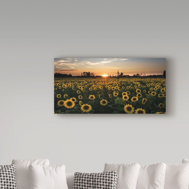 Cattima «Sunset on a Sunflower Field», reproduction de photo sur toile tendue, H 10 po x l 19 po x P 2 po