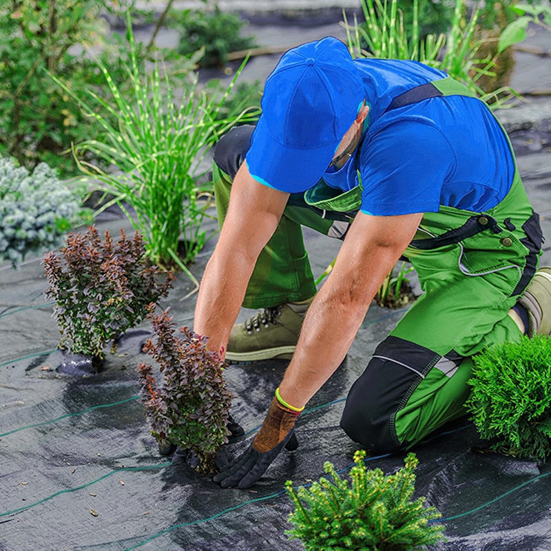 Tapis de jardin Weed Barrier Landscape