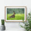 Lone Hare - Picture Frame Painting Print-56633563-56633566
