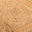 Allanna Chequered Jute / Sisal Braided Area Rug-1466739505