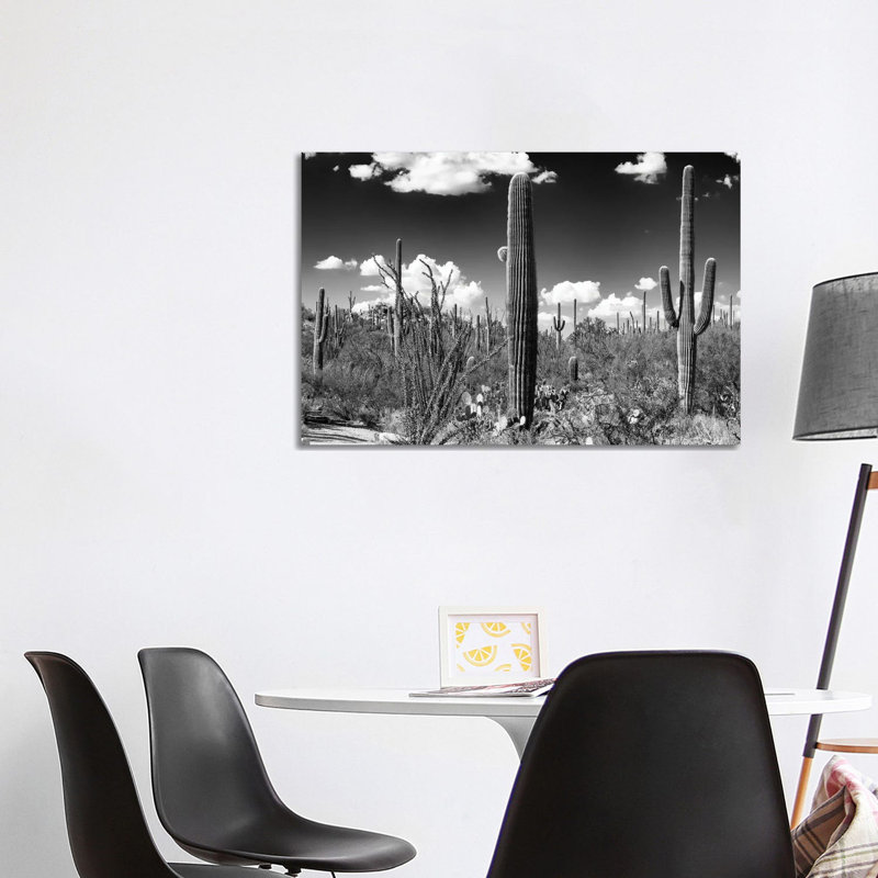 Saguaro Cactus by Philippe Hugonnard - Wrapped Canvas Print, 101.6 cm H x 66.04 cm W x 3.175 cm D