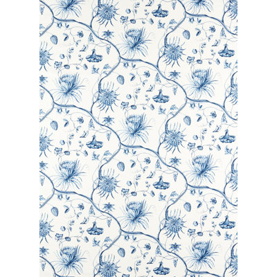 Phaedra Toile Fabric