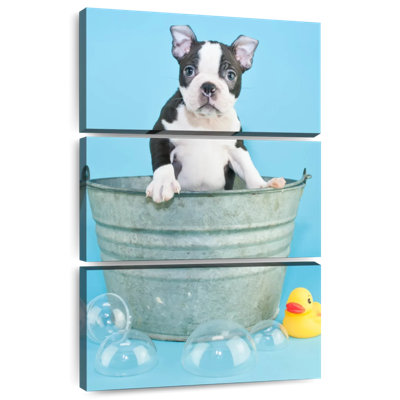 Brampt Bathing Terrier