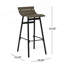 Set Of 2 Industrial Modern Design Barstool