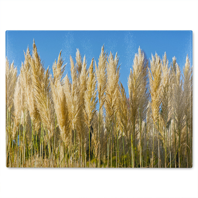 Pampus Grass Designer Glass Chopping Board