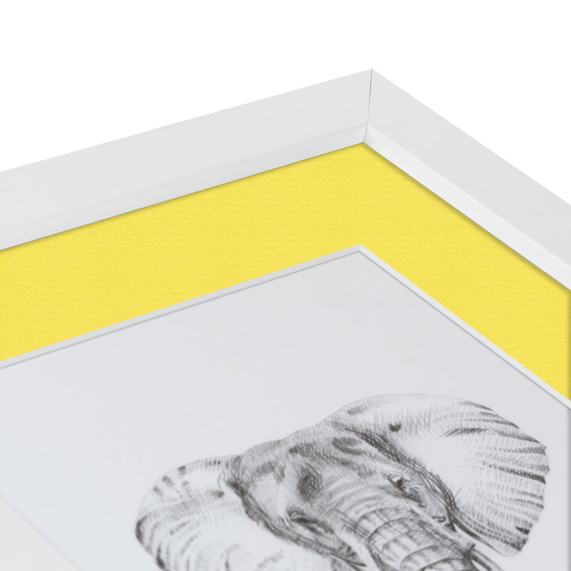 Cadre pour photo simple blanc mat 10 "x 20", Canari