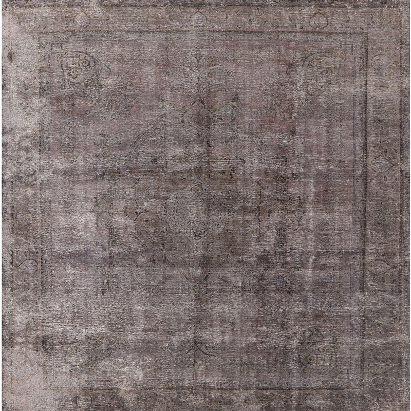 Jadiel Oriental Indoor Rug, Square 6'