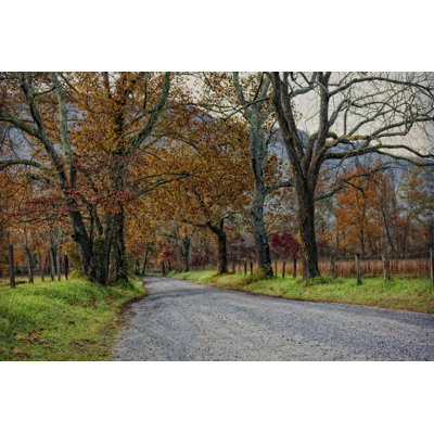 Morning on Sparks Lane I 1 Piece Wrapped Canvas Wall Art