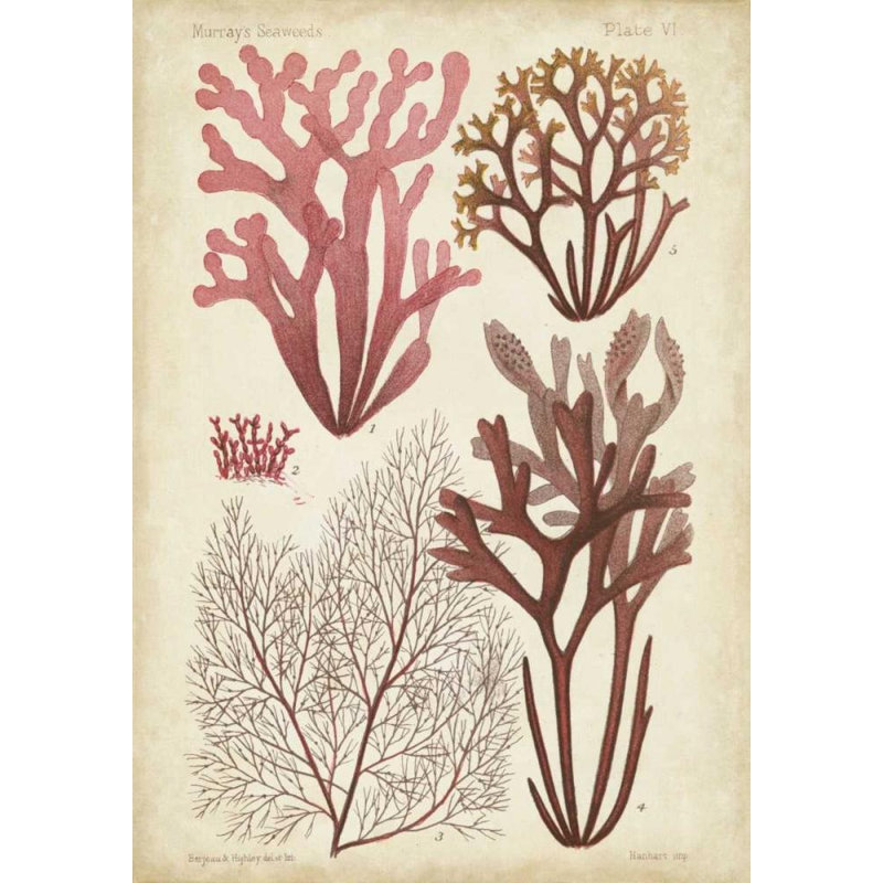 Art sur toile tendu de Beachcrest Home ™ Vision Studio Gallery