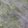 Premium Machine Washable Cerrito AMF573 Green Rug