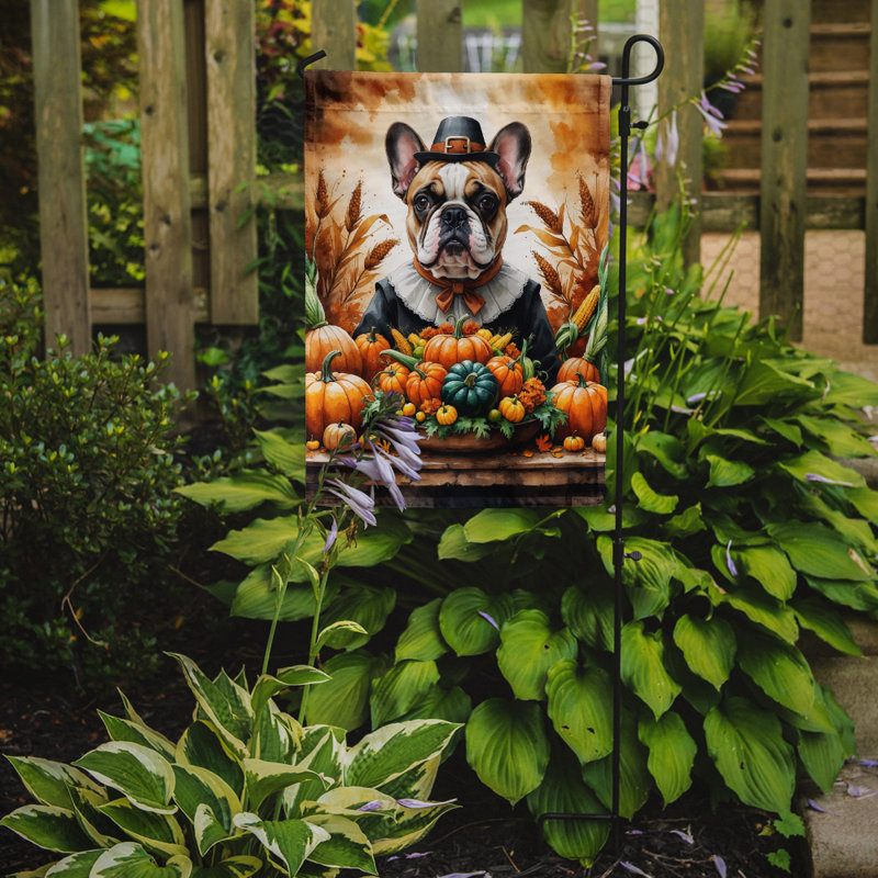 Drapeau du jardin de l'Action de grâce, Bouledogue français