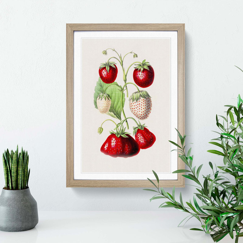 An Illustration of Strawberries 1 Piece Single Picture Frame Painting, 50cm H x 35cm W x 2cm D, Oak Single Picture Frame Wood